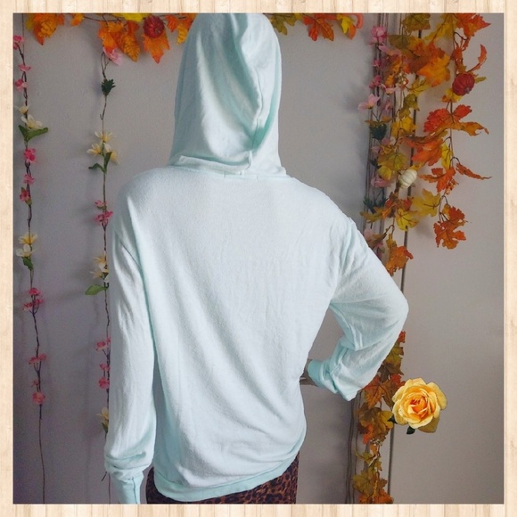 NWOT WILDFOX HOODIE SWEATSHIRT OVERSIZED V… - Picture 3 of 8